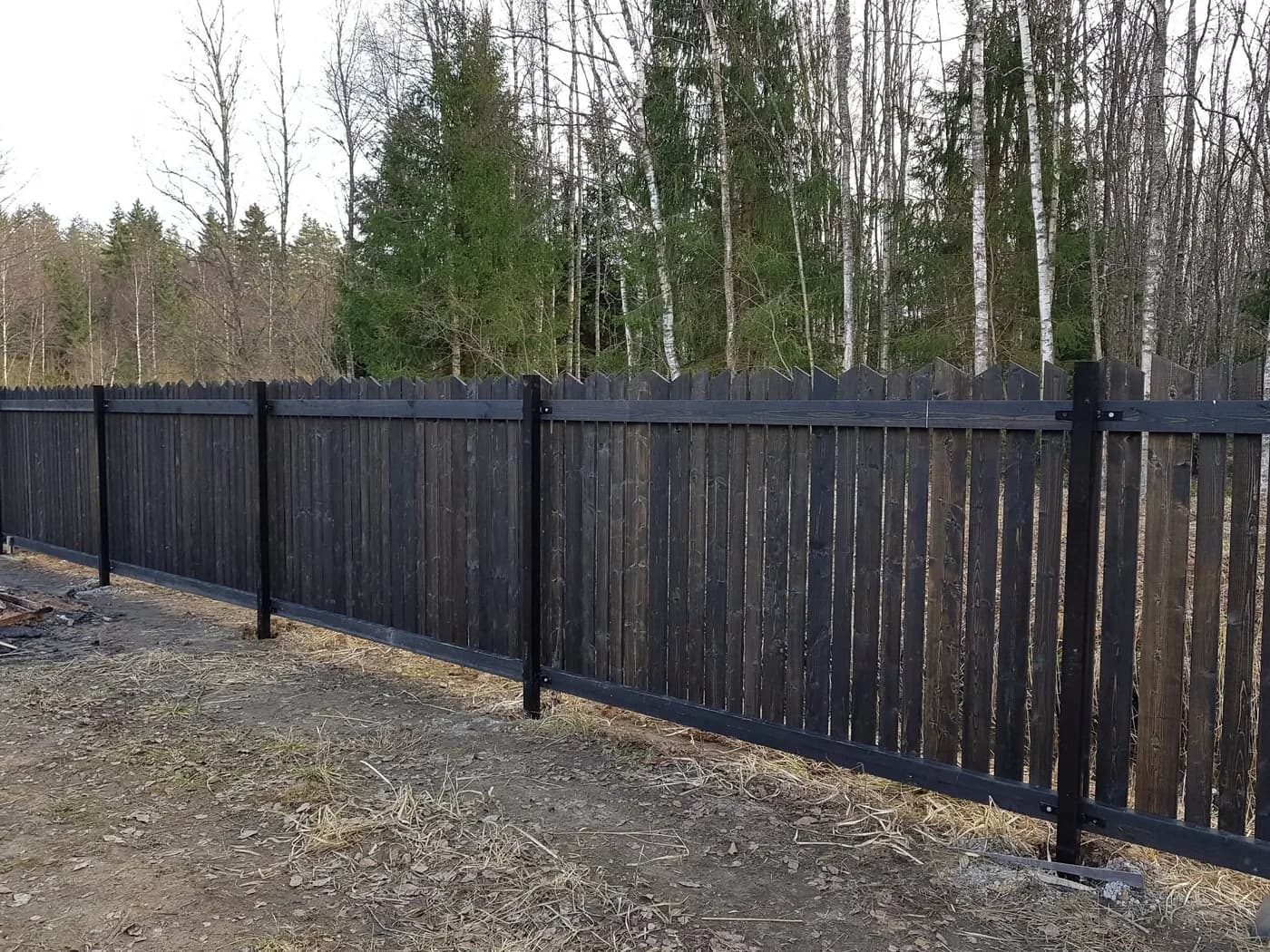 Tume puitpiirdeaed metsaserva ääres